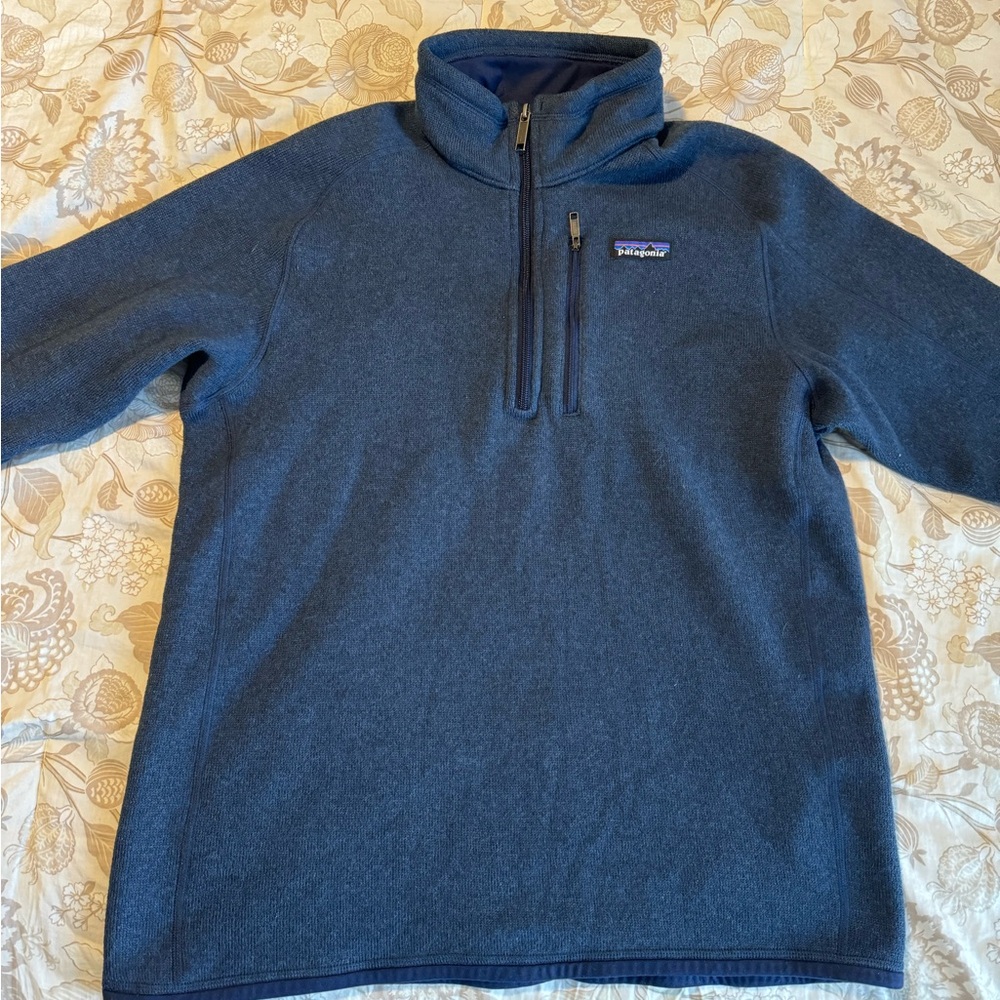Patagonia Blue Fleece Pullover